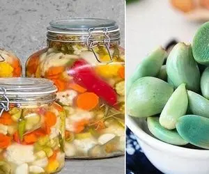 علت تغییر رنگ سیر های داخل ترشی چیه و روش های پیشگیری از آن؛ میشه این سیر ها رو خورد؟