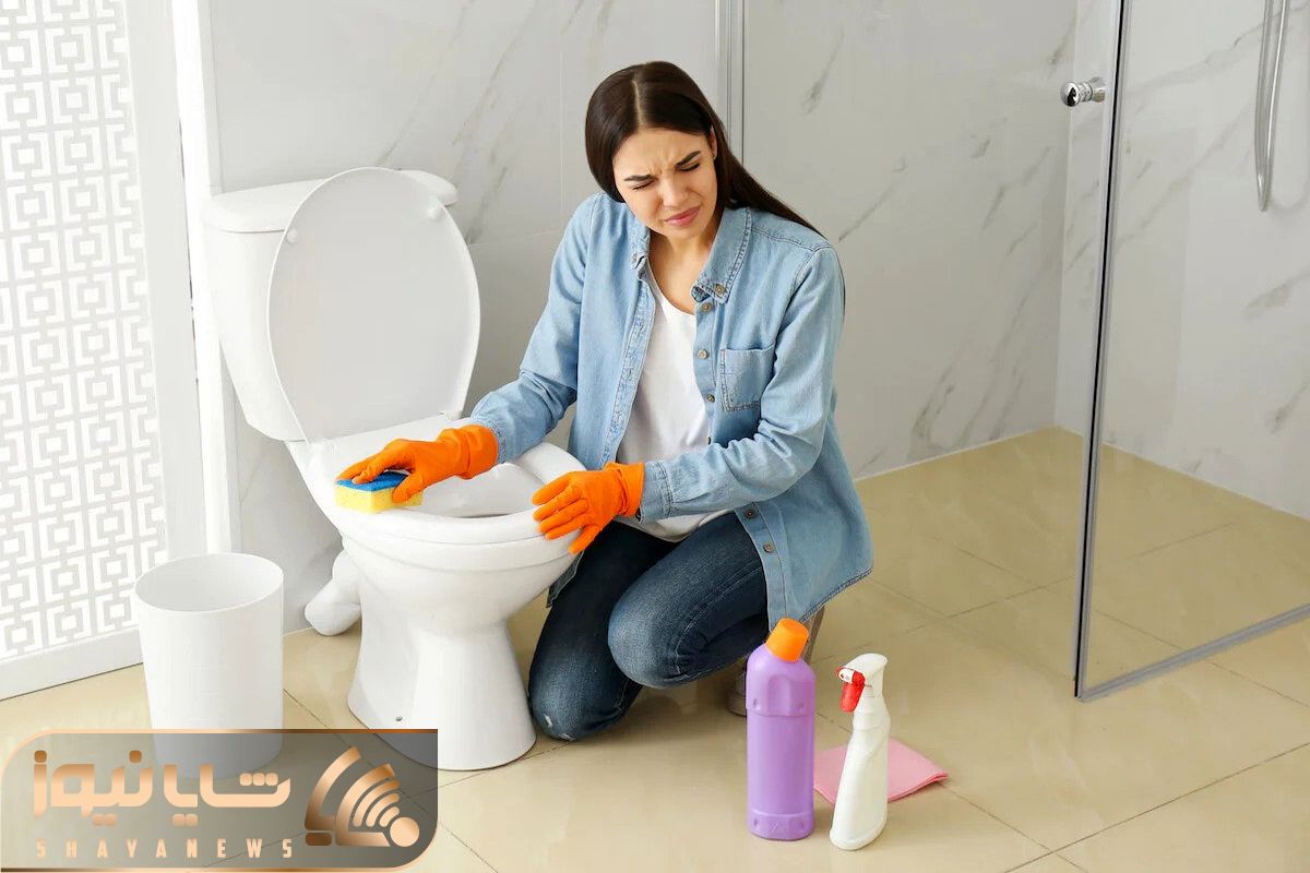 clean toilet shayanews