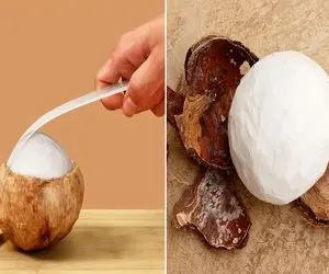 طریقه پوست کندن نارگیل / با این روش گرد درآووردنش مثل آب خوردنه فقط تو فریزر جا داری؟