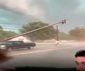 معماری طبیعت؛ تیربرق افتاده سیم لخت اینور اونور میره جرقه میزنه ملت تو خیابون گرخیدن