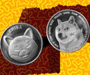 آیا شیبااینو و دوج کوین از بین خواهند رفت؟