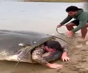 معماری طبیعت؛ مرد اسیر تو دهن گربه ماهی رو بیرون میکشن ولی گیر کرده