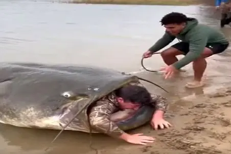 معماری طبیعت؛ مرد اسیر تو دهن گربه ماهی رو بیرون میکشن ولی گیر کرده