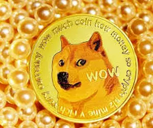 سیگنال هایی پرجنجال برا دوج کوین دارها!!