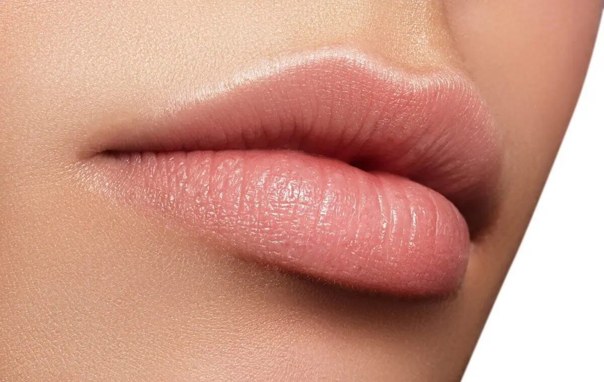 رژهای پر استفاده