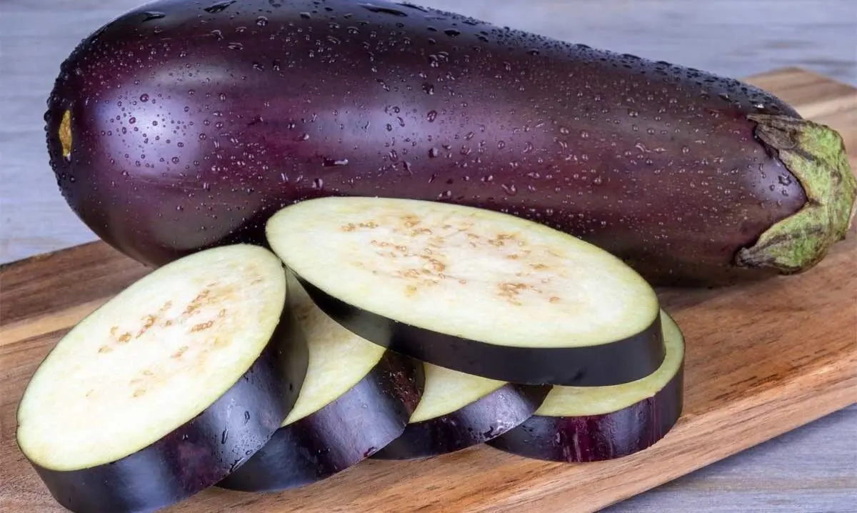 long-term-storage-eggplant-01