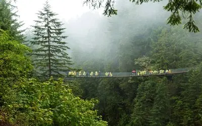 مسیر های صعب العبور؛ پل هایی که تو ارتفاع 1000 مایلی احداث شدنو به مو بندن 