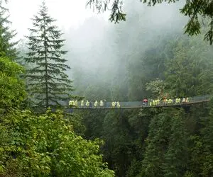مسیر های صعب العبور؛ پل هایی که تو ارتفاع 1000 مایلی احداث شدنو به مو بندن 