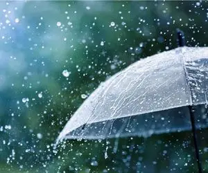 هواشناسی کشور امروز شنبه 24 آبان ماه/ این استان‌ها بارانی می شود