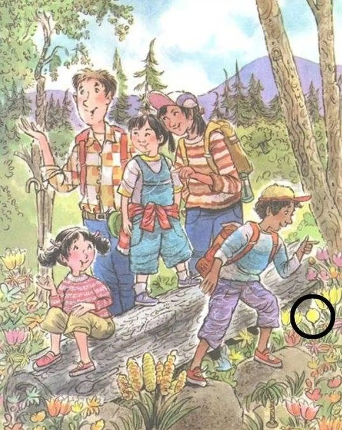 picture-puzzles-with-answers