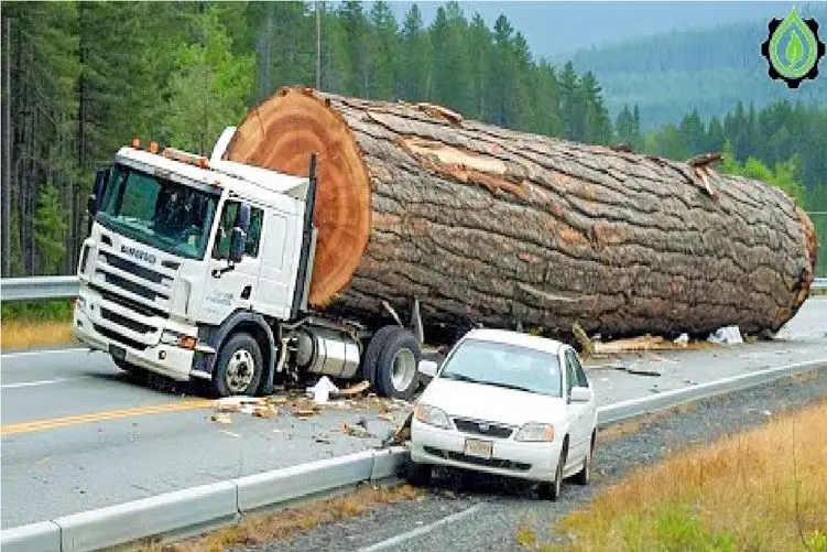 جا به جایی جانکاه؛ یارو تنه بزرگتر از قد و قواره حمل میکنه نمیدونی نابغه اس یا دیونه