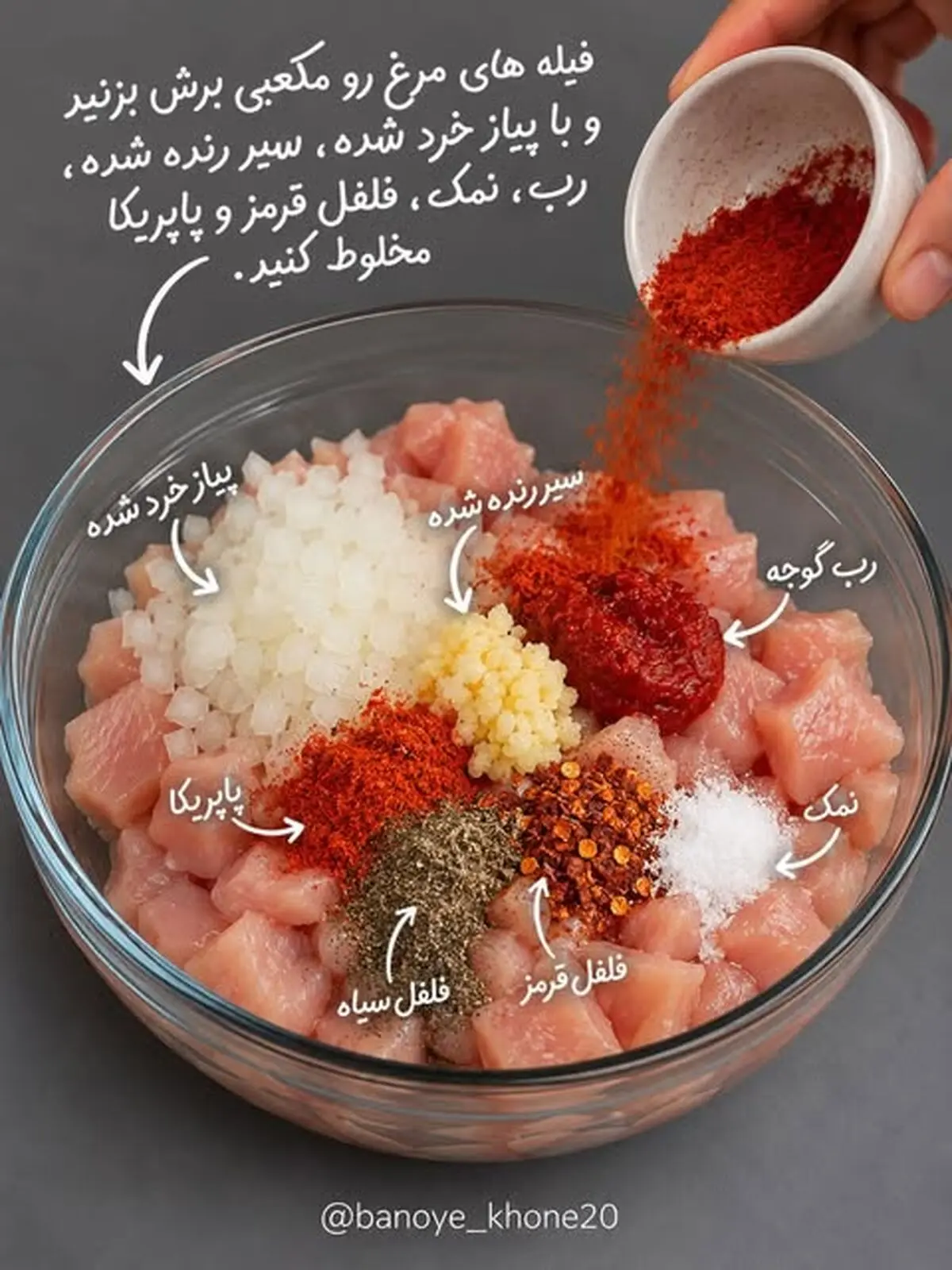 گراتن مرغ 2