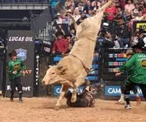 تاخت و تازهای خونین؛ گاو سرکش تو بازی چارنعل از رو گاوچرونو رد میشه گردنش میشکنه