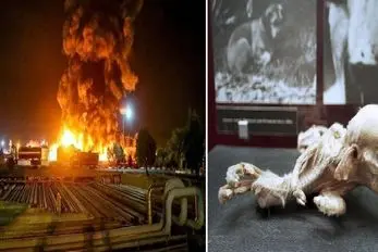 حوادث مرگبار؛ انفجار نیروگاه اتمی چرنوبیل فاجعه ای که زندگی را هزار سال متوقف کرد