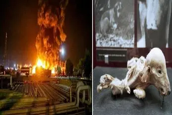 حوادث مرگبار؛ انفجار نیروگاه اتمی چرنوبیل فاجعه ای که زندگی را هزار سال متوقف کرد