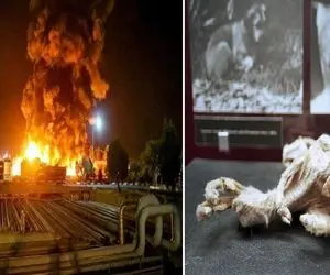 حوادث مرگبار؛ انفجار نیروگاه اتمی چرنوبیل فاجعه ای که زندگی را هزار سال متوقف کرد