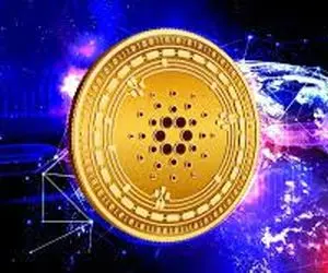 چرا نهنگ های کاردانو جنجال به پا کردند؟