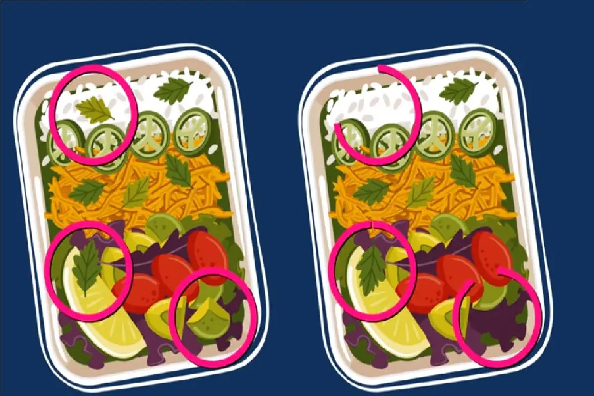 تفاووت غذا (2)