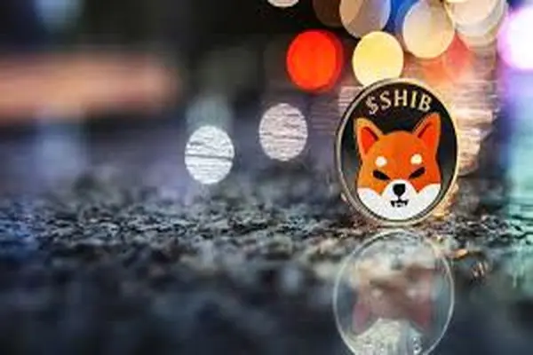 SHIBAINU