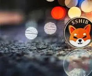 حماسه جنجالی شیبااینو رو شد!!