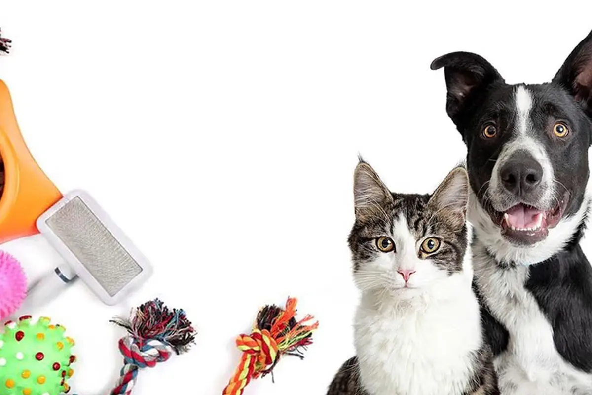 2026aa63-2a76-4d7a-878d-c3af3aea33b8