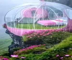 معماری خلاقانه؛ نوک کوه گنبد شیشه ای زدن ویو بارون و جنگل عین قصه ها جلو چشمشونه