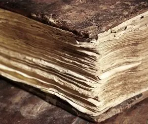 داستان شب؛ شنیدی میگن پنبه رو از گوشت درار؟ حالا بیا تا بگم داستان از کجا آب میخوره