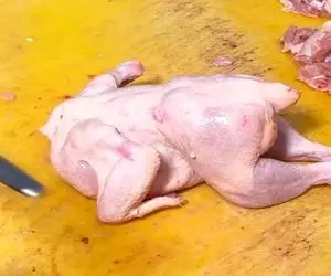 ترفندهای خانگی؛ آموزش حرفه ای و اصولی بی استخوان کردن مرغ