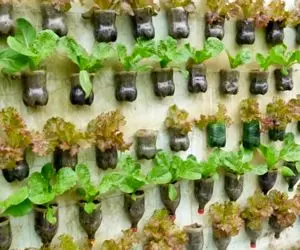 ایده های خلاقانه؛ این باغچه های ایستاده واسه خونه هایی که باغچه کف حیاط ندارن محشرن