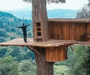 معماری خلاقانه؛ آقاهه و رفیقش رو درخت یه کلبه شاهانه ساختن تنه درخت افتاده وسط خونشون