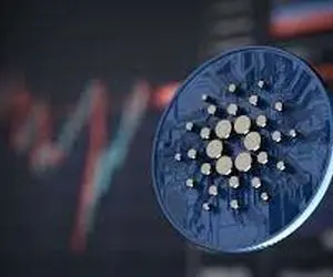 کاردانو موقعیت خرید؟