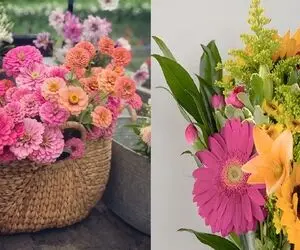 گلهایی با رشد سریع برای تابستان / بذر و دانه اینارو بکار تا تو باغچه آرزوهات زندگی کنی