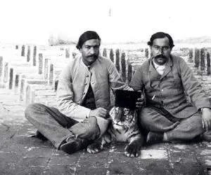 سفر به دوره قاجار؛ ببر مازنی با کلاه قجری ملعبه دست دربار بود شوخی دستی داشتن