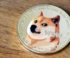 جای امیدی برای دوج کوین هست؟؟
