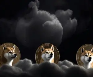 سرمایه ای عظیم با شیبااینو؟