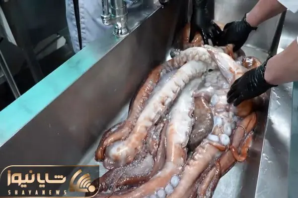 غذای غول پیکر