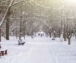 بارش باران و برف در اغلب مناطق کشور؛ کاهش دما در پایان هفته