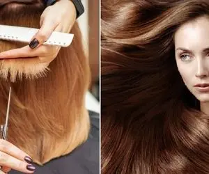 بهترین شامپو جهت ازبین بردن موخوره؛ مدل های ایرانی و خارجی، قیمت و کنترل چند شاخه شدن