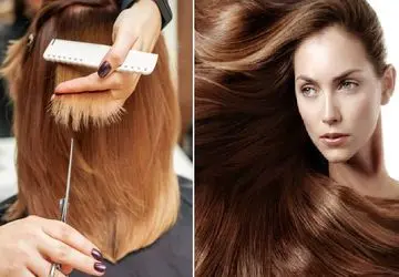 بهترین شامپو جهت ازبین بردن موخوره؛ مدل های ایرانی و خارجی، قیمت و کنترل چند شاخه شدن