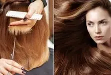 بهترین شامپو از بین برنده موخوره؛ مدل های ایرانی و خارجی، قیمت و کنترل چند شاخه شدن