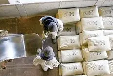 دولت دست از سر قیمت بردارد/ سیمان مفت صادر می شود/ هر پاکت سیمان صادراتی زیر 40دلار