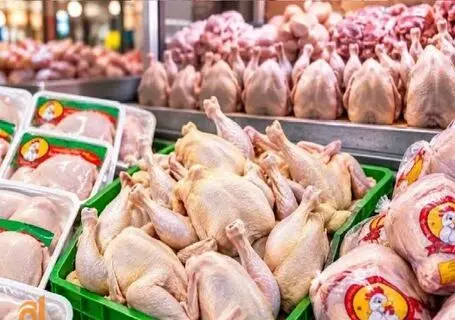 قیمت مرغ امروز یکشنبه 29 شهریور 1405 | فیله مرغ را چقدر بخریم؟