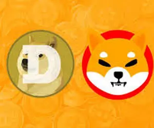 چرا میگویند شیبا و دوج  کوین ارزشی ندارند؟