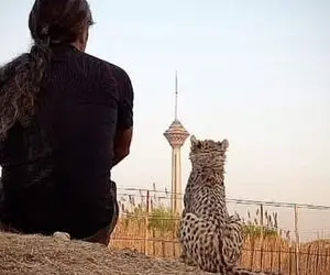 اولین واکنش پرستار «پیروز»؛ جای من نیستید که جیگرتون آتیش بگیره