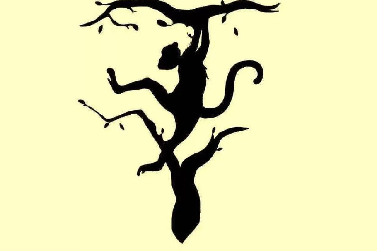 فرح