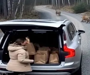 معماری طبیعت؛ خانومه دعای پدر و مادرش پشتش بود وگرنه...