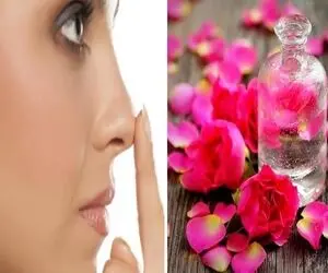 کوچک کردن بینی با گلاب؛ تنها در یک هفته کوفته ترین دماغ فندقی و ریزه میشه