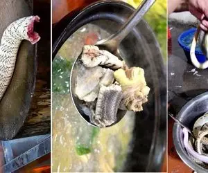 غذای چندش ؛ طبخ مشمئز کننده سوپ مار غول پیکر غذای خیابانی محبوب و خیلی گرون چینی