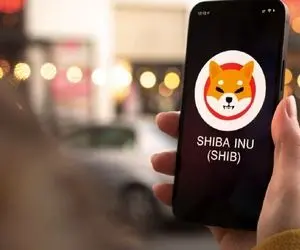 هدف بعدی شیبااینو چیست؟