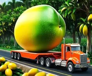 کشاورزی بدیع؛ با هوش مصنوعی و سموم نوین انبه پرورش دادن هر کدوم با یه تریلی حمل میکنن